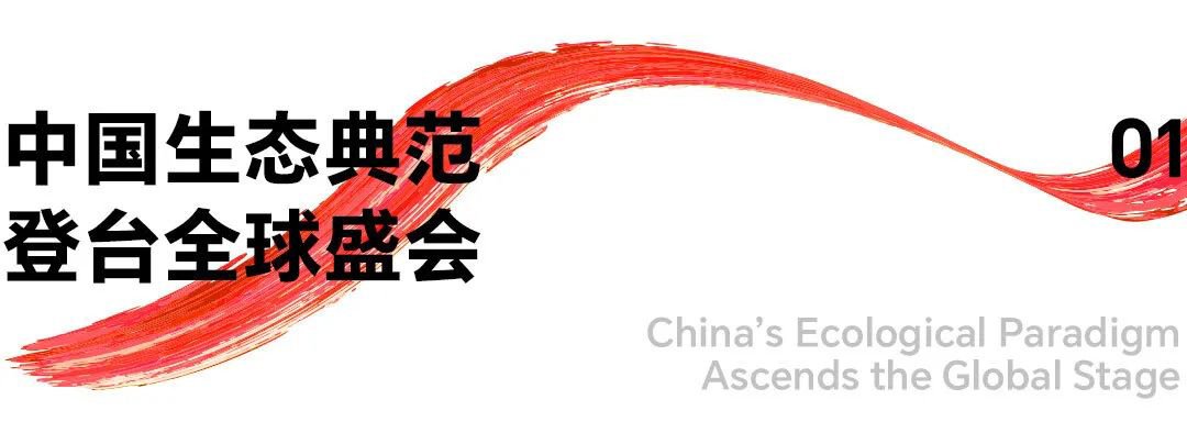 在以中华书简为灵感的中国馆内