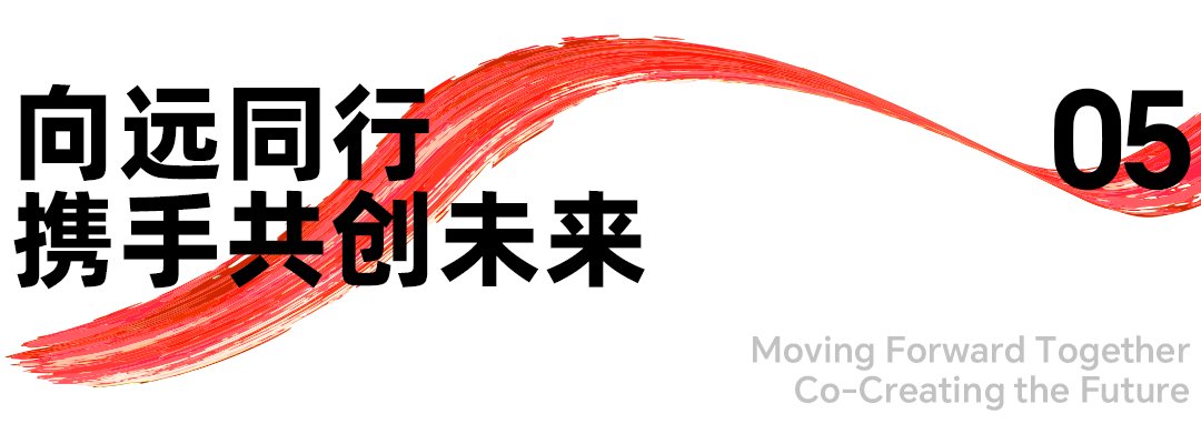 南方双彩网