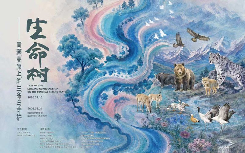 深圳科学技术馆精选展项合集