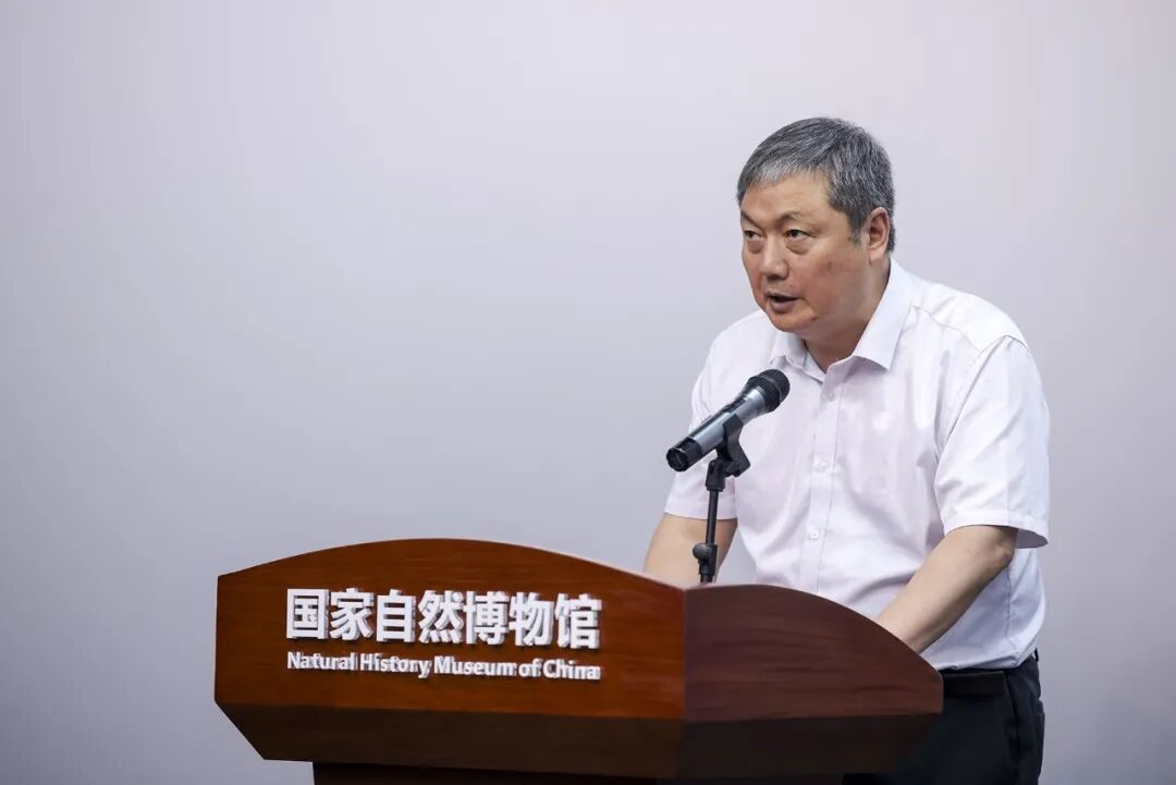 公共4688梅美高官方网站成为西甲联