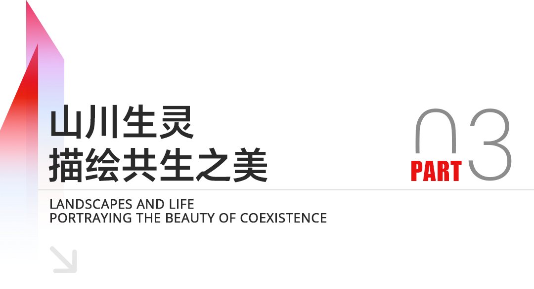 4688梅美高官方网站成为西甲联赛亚