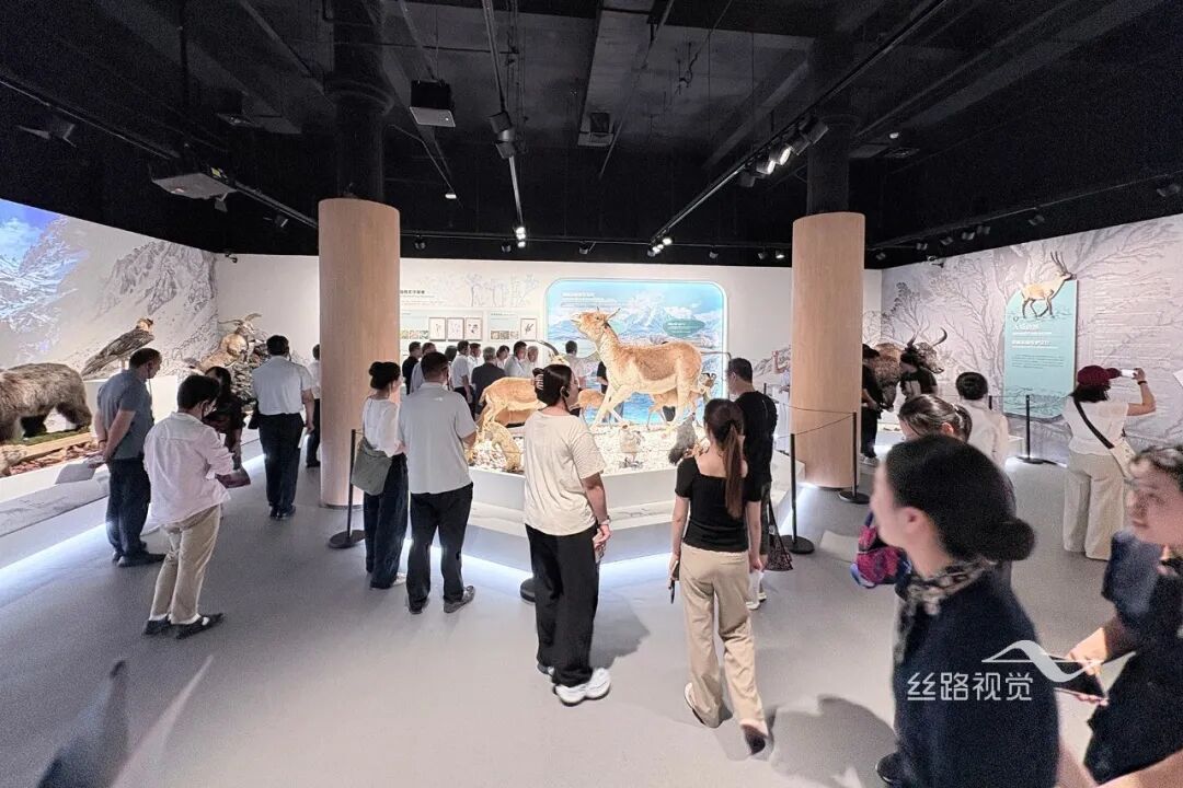 在北京正式开启，由丝路视觉参