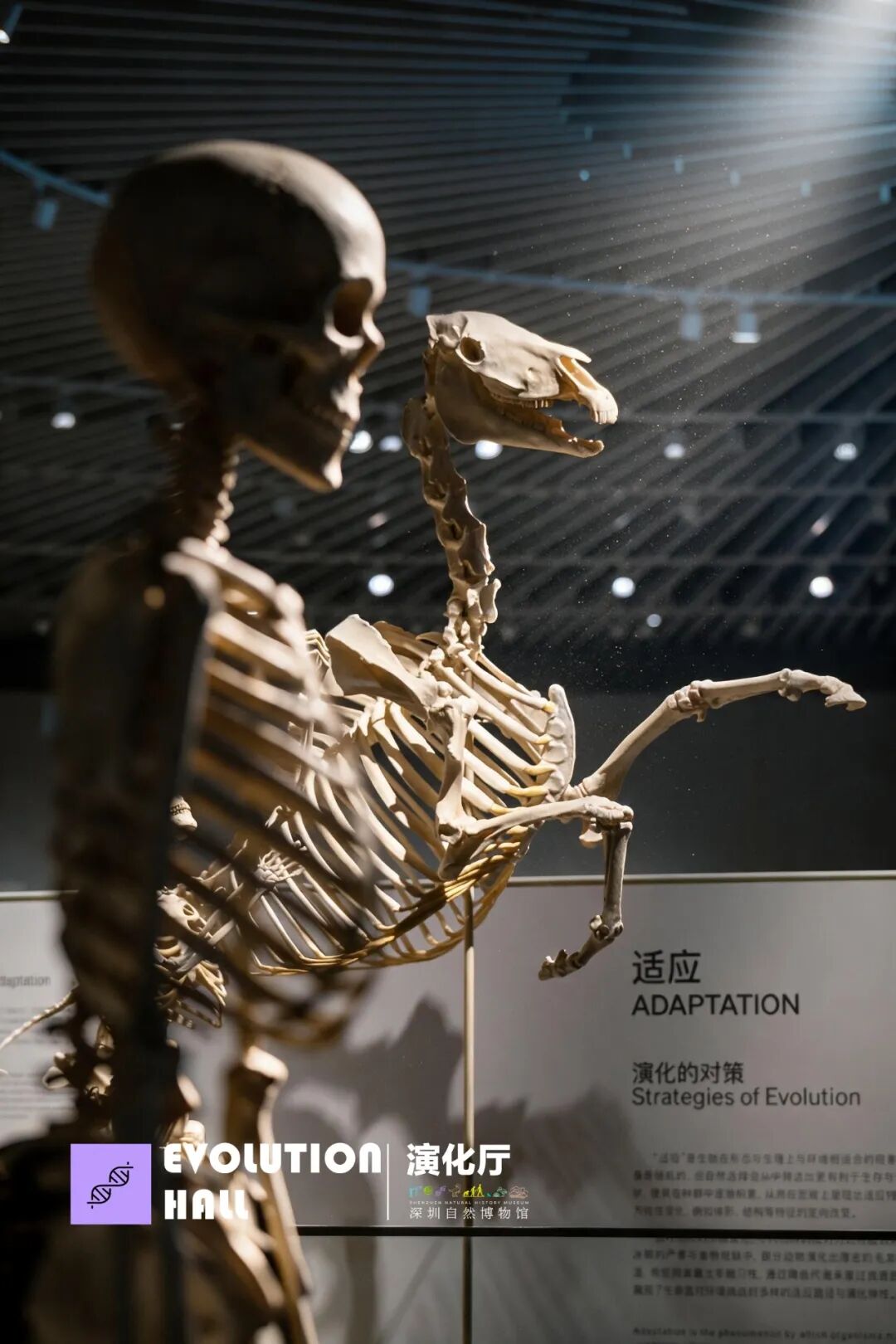 形成内外共生的自然文化空间