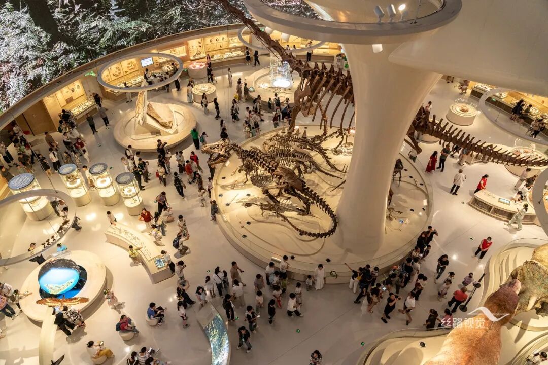 10029.jpeg 深圳自然博物馆用地面积4.2万平方米