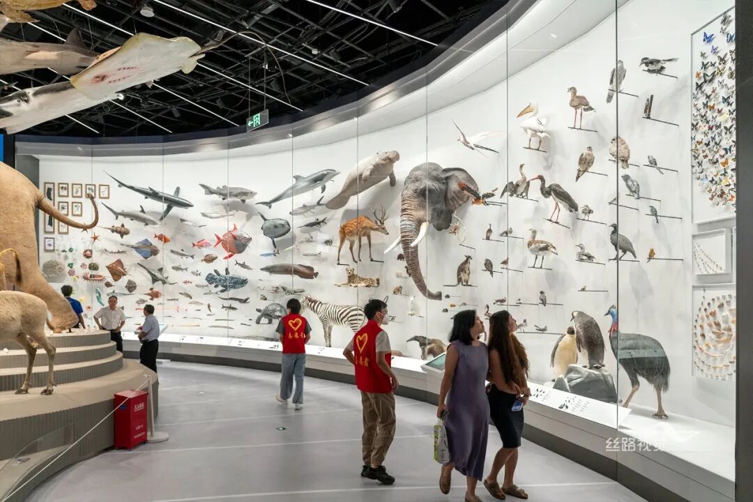 陈列展览区达3.52万平方米